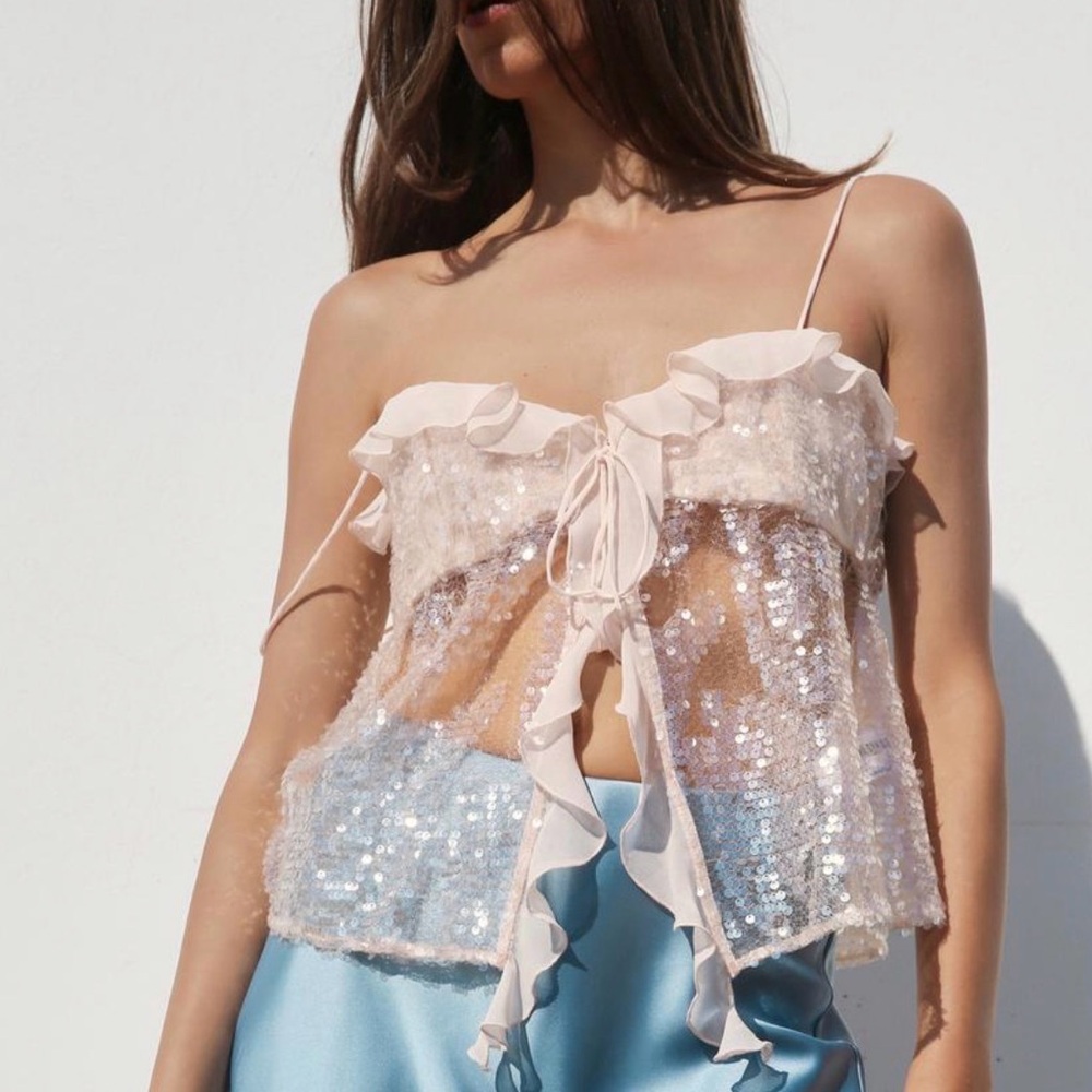 Zara Pink Sequin Ruffle Sheer Top